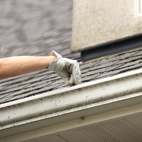 Expert Gutter Cleaning by Greensoutdoor cleaning